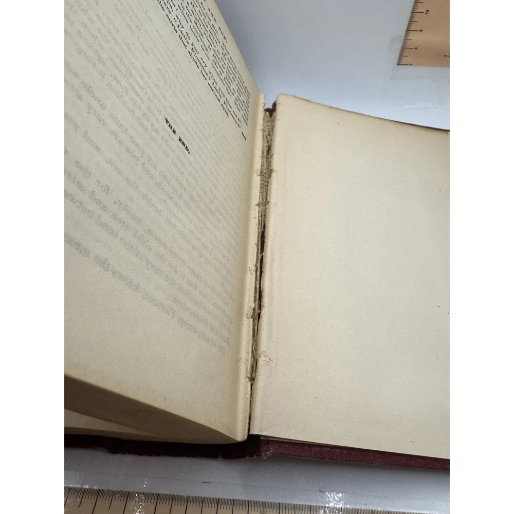 Charles Dickens Household Edition Antique Decorative Cloth Book English 1884
